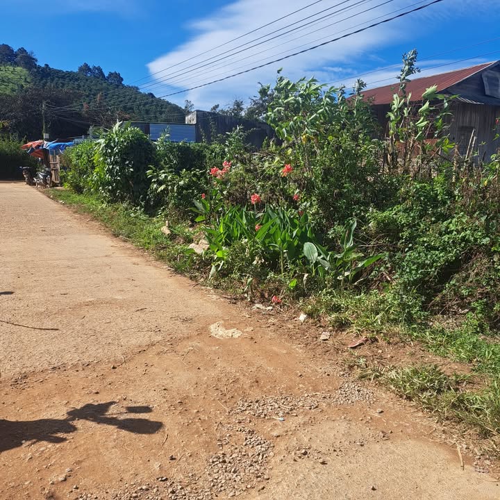 Đất thổ cư 300m² tại Thị trấn Đinh Văn - Giá chỉ 2.6 tỷ - Đầu tư sinh lời!