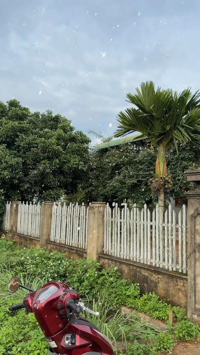 Đất nền đường Nguyễn Tất Thành, phường Thiện An, 900m² - Giá tốt, đầu tư sinh lời!