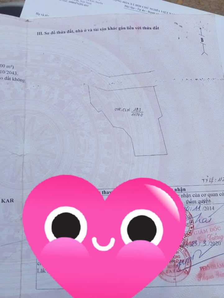 Đất thổ cư 400m² tại Thôn 9, Cư Yang, 11,700m² giá 2.1 tỷ - Cơ hội đầu tư hấp dẫn!