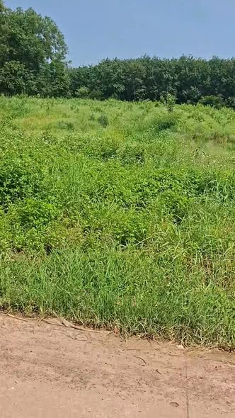 Đất sào Vĩnh Tân, Vĩnh Cửu 3600m² giá 3.6 tỷ - Cơ hội đầu tư vàng!