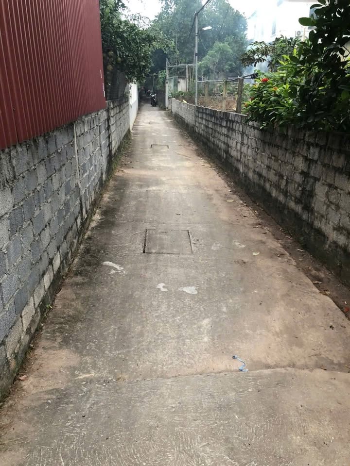 Đất nền Tự Nhiên Thường Tín 400m² giá 3x/m² - Cơ hội đầu tư hấp dẫn!