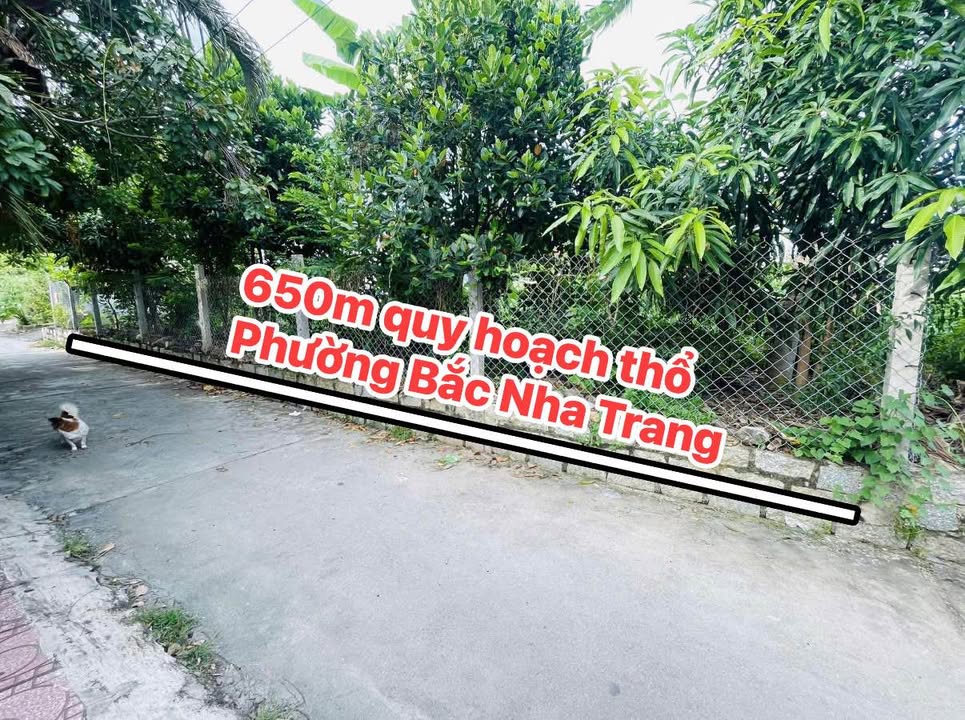 Đất thổ cư 650m² tại Bắc Nha Trang giá 3.66 tỷ - Đầu tư sinh lời ngay!