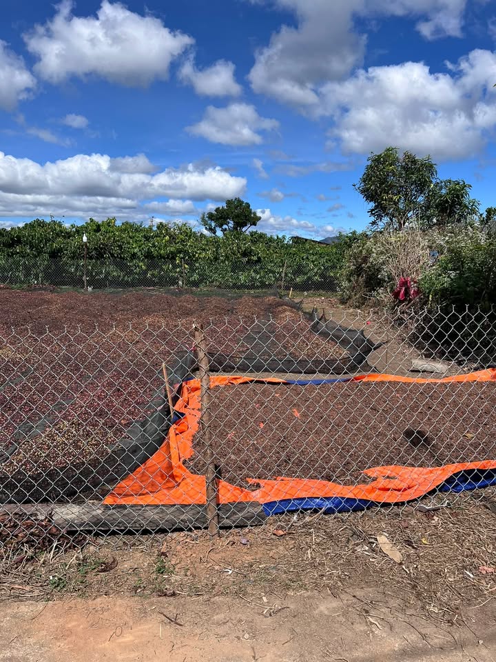 Đất nền thôn 10 Đăk Hring, Đăk Hà 180m² giá 300 triệu - Cơ hội đầu tư hấp dẫn!