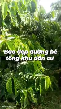 Đất nền Phúc Thọ, Lâm Hà 80m² giá 7.2 tỷ - Cơ hội đầu tư sinh lời cao!