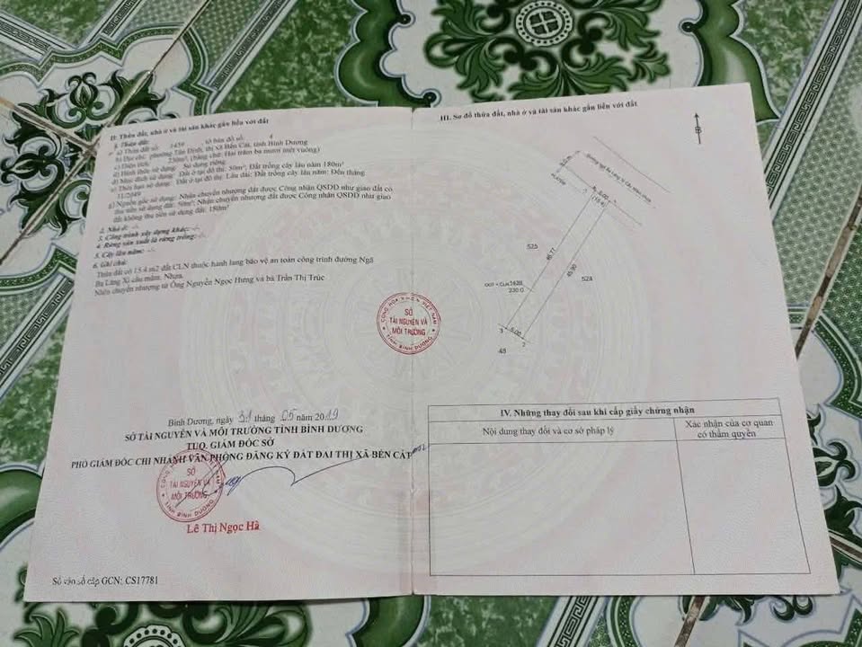 Đất thổ cư 235m² mặt tiền đường nhựa, Tân Định - Giá chỉ 1 tỷ!