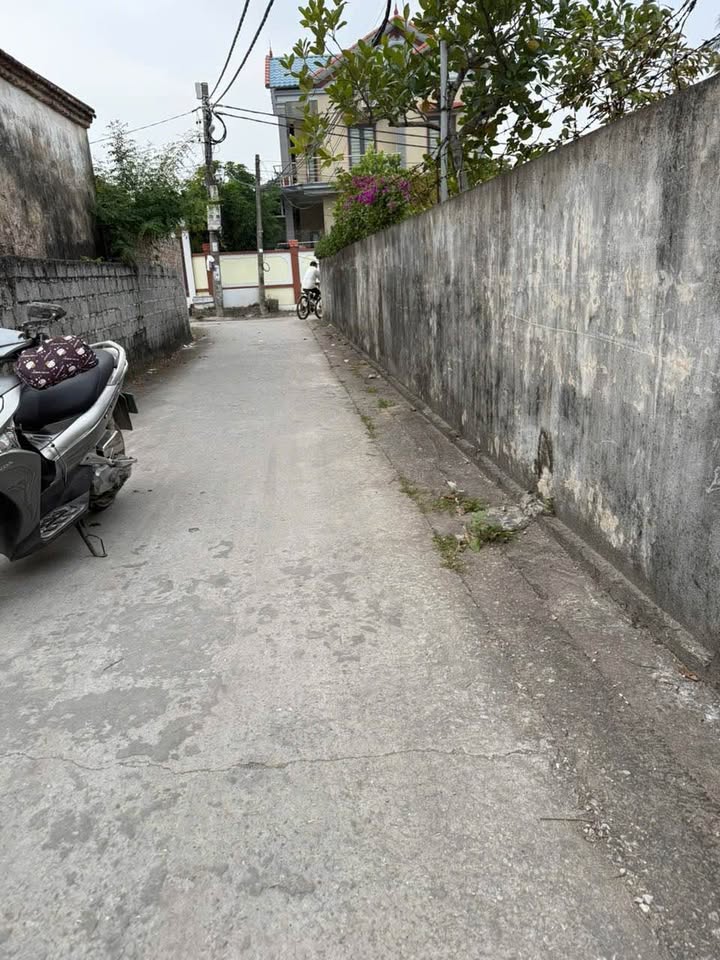 Đất Bàng Thượng, Đồ Sơn 61.7m² giá 800 triệu - Kết nối thuận tiện, an cư lý tưởng!