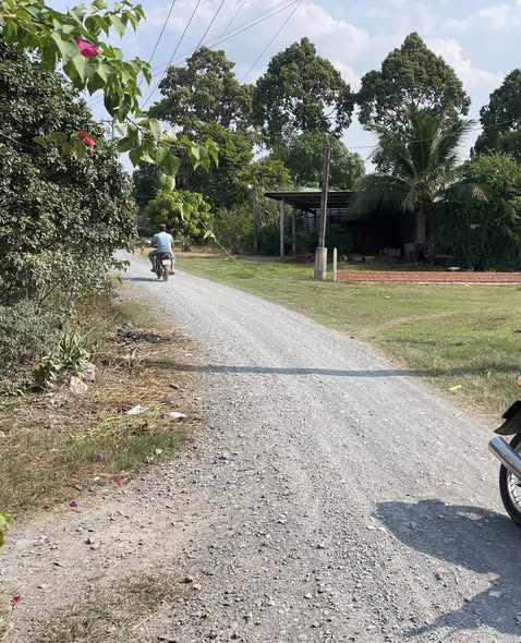 Đất nền 385m² Đức Hòa giá 1.9 tỷ - Tiềm năng đầu tư lớn!