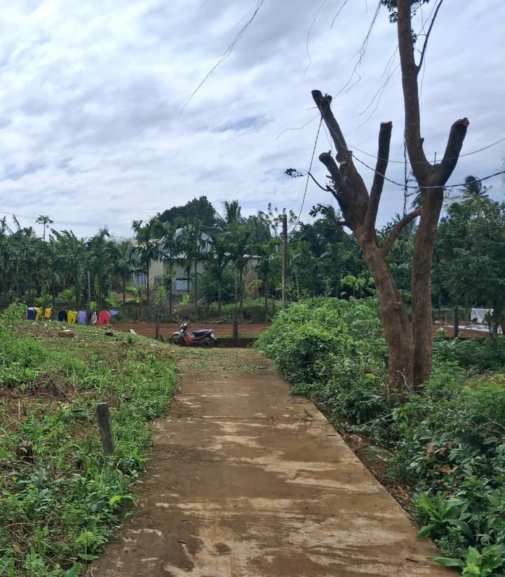 Đất thổ cư Vạn Tường, Bình Hải 107m² - Giá thỏa thuận hấp dẫn!