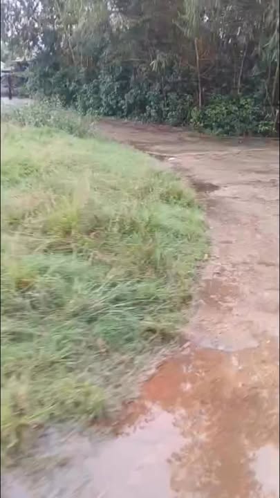 Đất nền Tịnh Minh 1000m² giá 400 triệu - Đất cao ráo, dễ xây dựng!