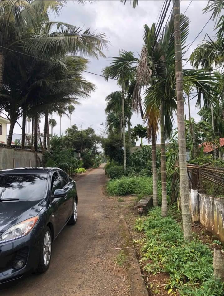 Đất nền đường 8A Hòa Thuận, 126m² giá 1.25 tỷ - Cơ hội đầu tư tuyệt vời!