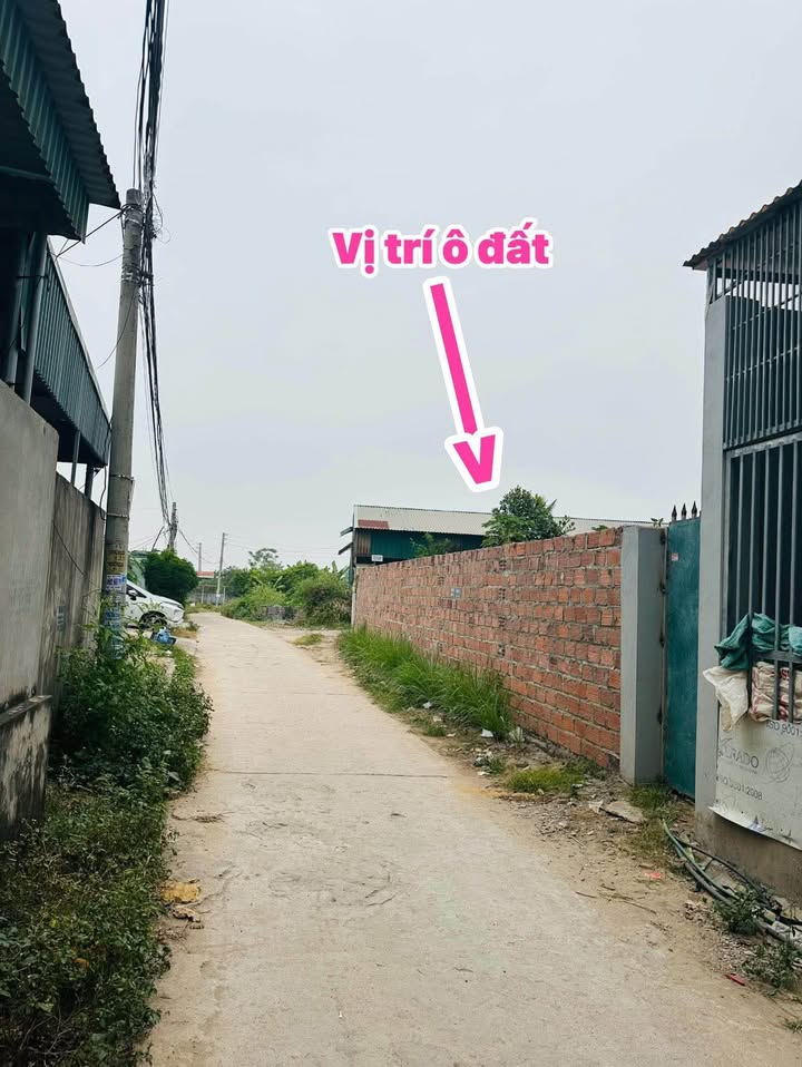 Đất nền Bùi Xá - Tân An 140m² giá 2.4 tỷ - Đường rộng 5m, chính chủ bán!