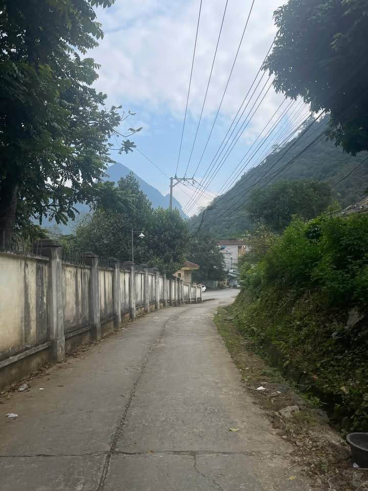 Đất Lộc Viễn Tài Mèo Vạc 185.5m² giá 2.4 tỷ - Dễ dàng đầu tư và ở ngay!