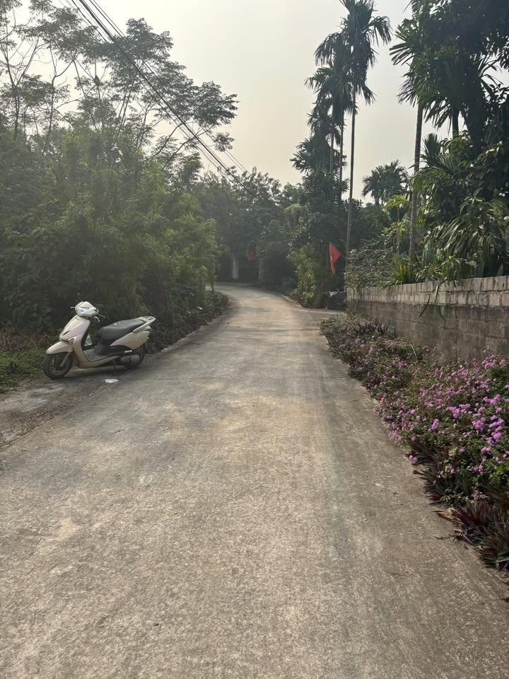 Đất nền Ba Trại, Ba Vì, Hà Nội 442m² giá 2 tỷ - Cơ hội đầu tư tuyệt vời!