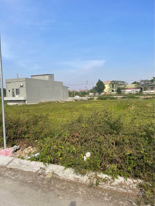 Đất nền Gia Trấn, Gia Viễn, Ninh Bình 120m² giá 3.3 tỷ - Cơ hội đầu tư tuyệt vời!