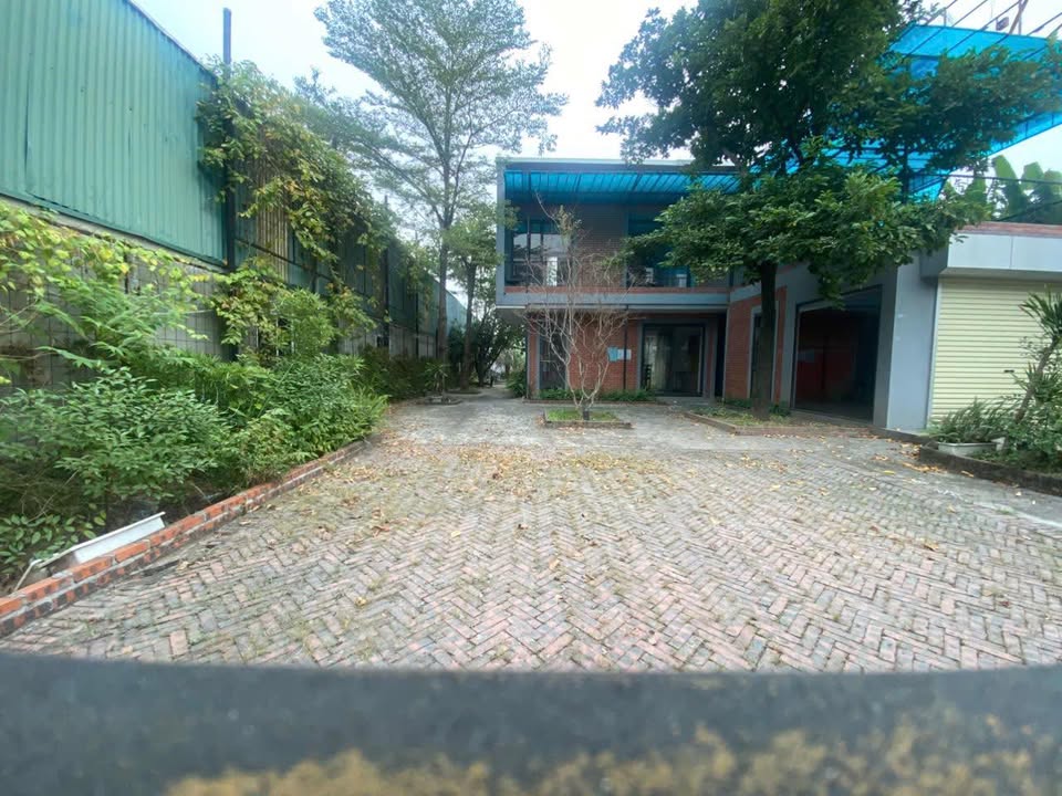 Biệt thự cho thuê tại phường Hà Khánh 375m² - Mặt tiền đường chính, kinh doanh linh hoạt!