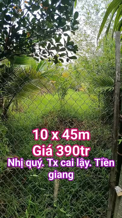 Đất nền Nhị Quý, Cai Lậy, Tiền Giang 450m² - Giá thỏa thuận hấp dẫn!