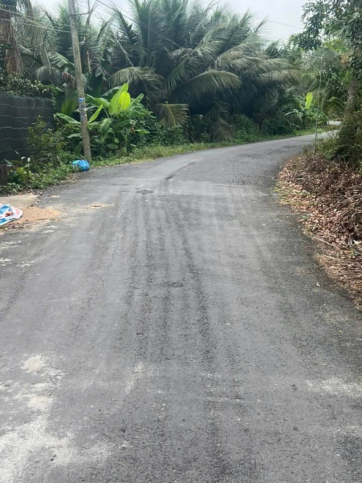 Đất nền Mỹ Lương, Mỹ Phong 72m² giá 490 triệu - Cơ hội đầu tư hấp dẫn!