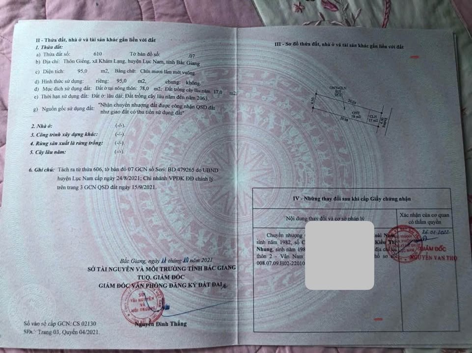 Đất thổ cư Lục Nam 95m² giá 800 triệu - Vị trí gần Khu đô thị!