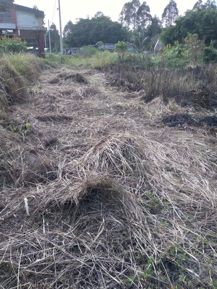 Đất nền Tân Mỹ, Ba Tri, Bến Tre 75m² giá 220 triệu - Đầu tư sinh lời ngay!