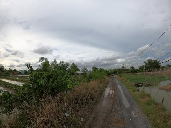 Đất Trồng Cây Lâu Năm Bình Chánh 1000m² giá 1.8 tỷ - Đầu tư sinh lời cao!