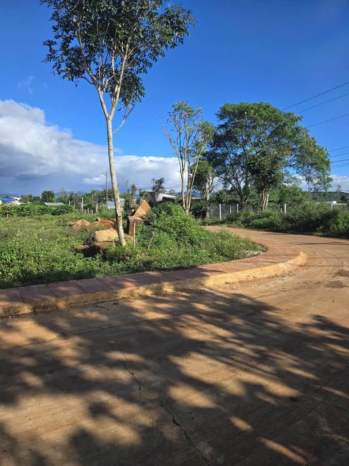 Lô đất thổ cư Tân Hội, Đức Trọng 72m² giá 680 triệu - Đầu tư sinh lời ngay!