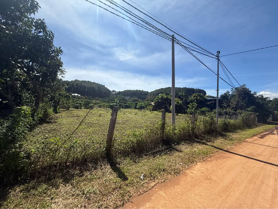 Đất thổ cư 100m² Thôn 2, Nam Ban, Lâm Hà 2.068m² - Giá tốt cho đầu tư!