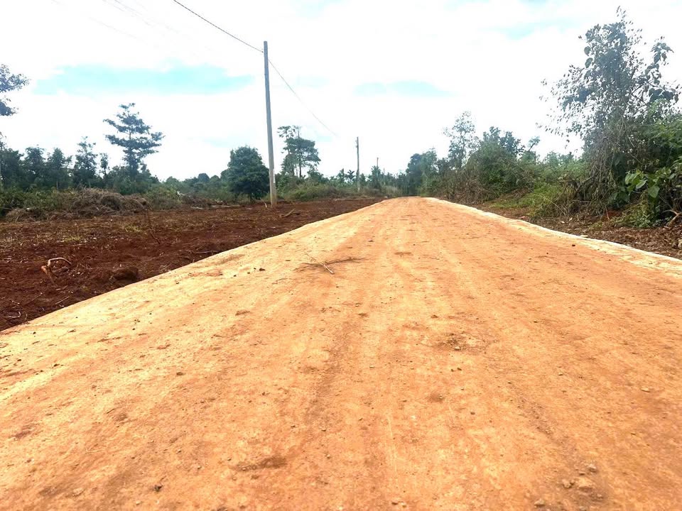 Đất nền Cư Suê 115m² giá 345 triệu - Đường bê tông, khu dân cư mới!