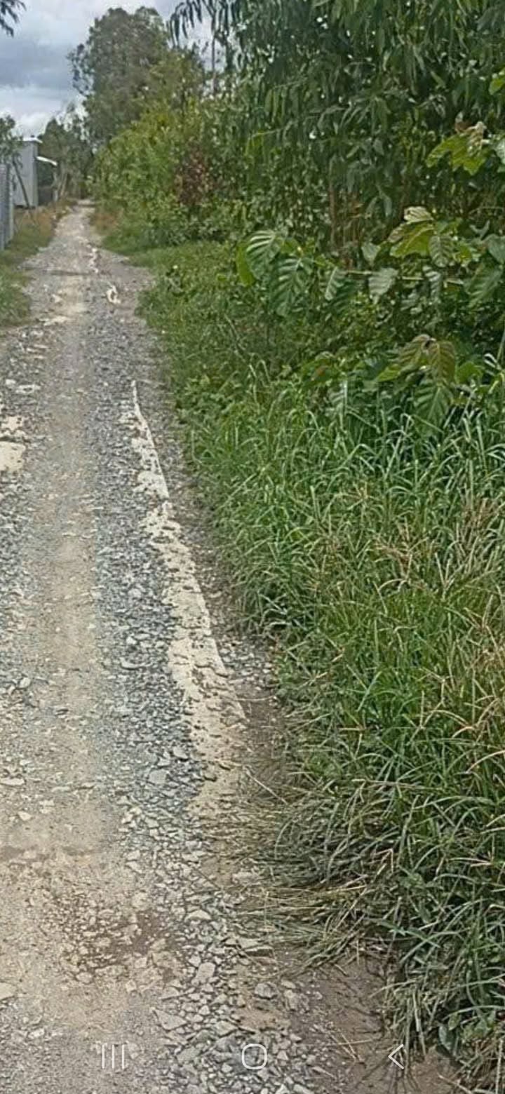 Đất thổ cư 1000m² tại Thiện Trung, Cái Bè giá chỉ 500 triệu - Cơ hội đầu tư tuyệt vời!