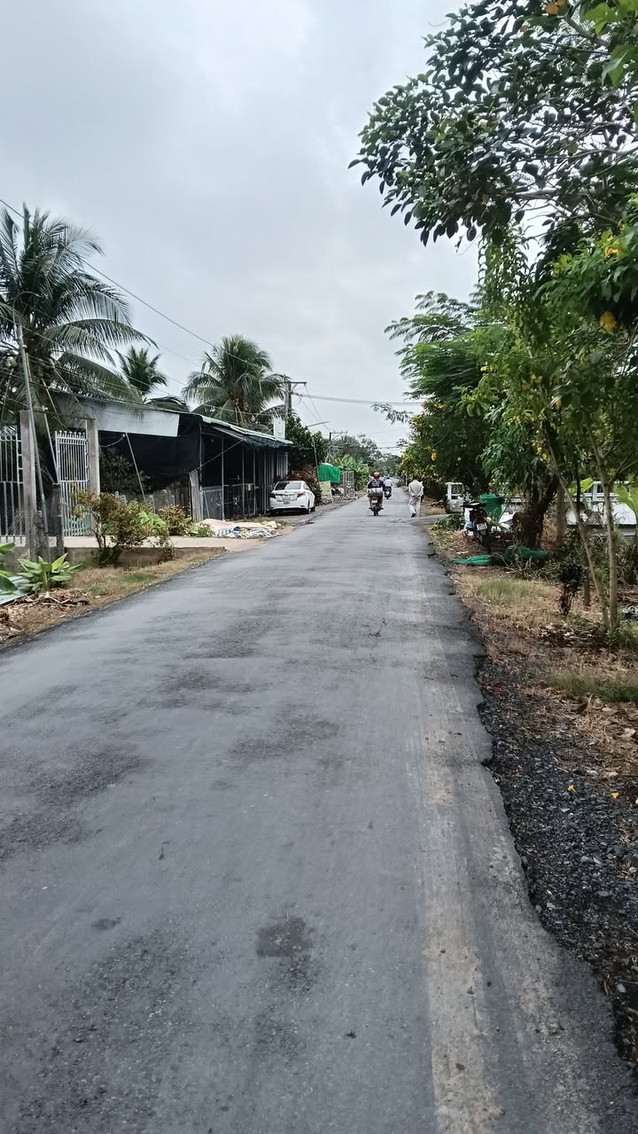 Đất nền chính chủ xã Bình Phú, Cai Lậy 98.8m² giá 1.5 tỷ - Đầu tư tiềm năng!