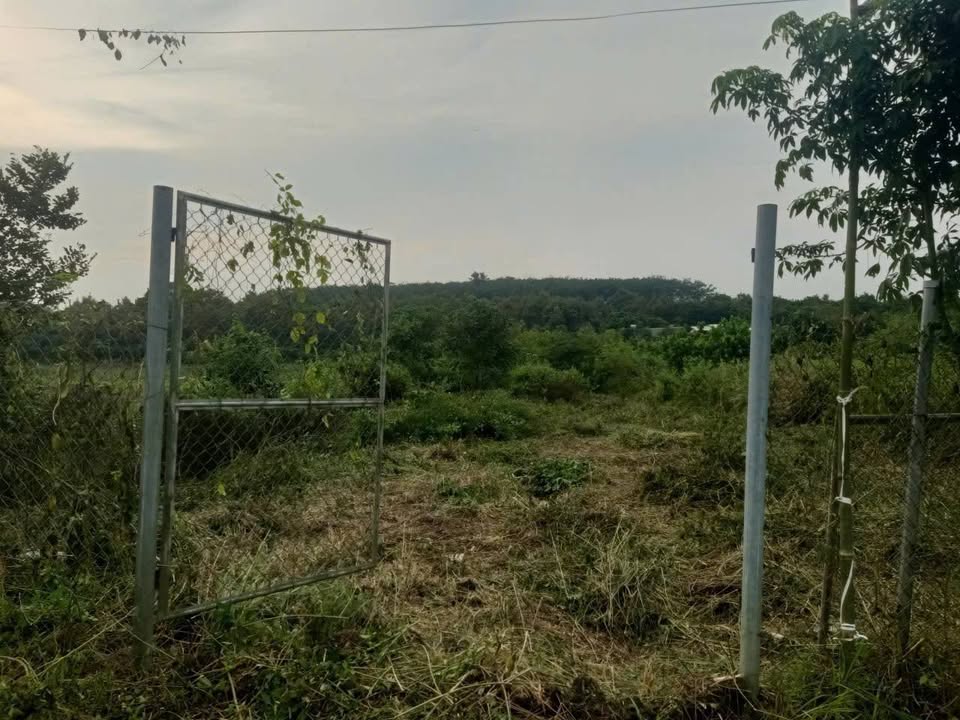 Đất nền phường Bàu Sen, Long Khánh 3600m² giá 1.1 tỷ - Cơ hội đầu tư sinh lời!