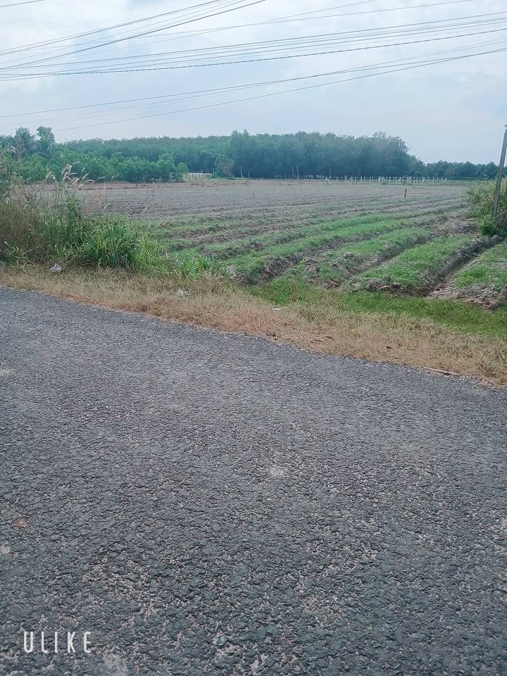 Đất thổ cư mặt tiền đường DH 13, xã Phan 55m² giá 565.2 triệu - Sổ hồng riêng chính chủ!