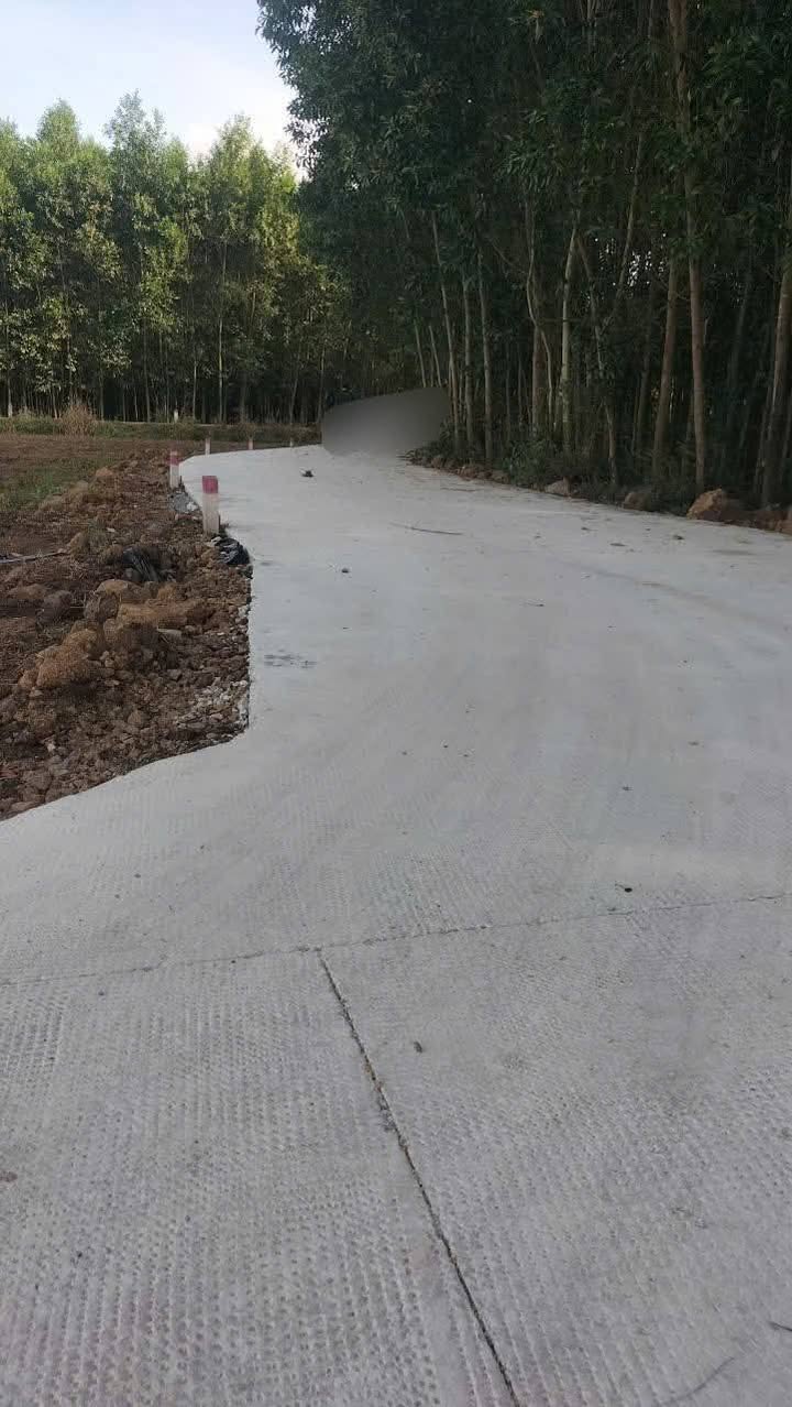 Đất nền Phước Long Thọ 200m² giá chỉ 4xx triệu - Cơ hội đầu tư sinh lời!