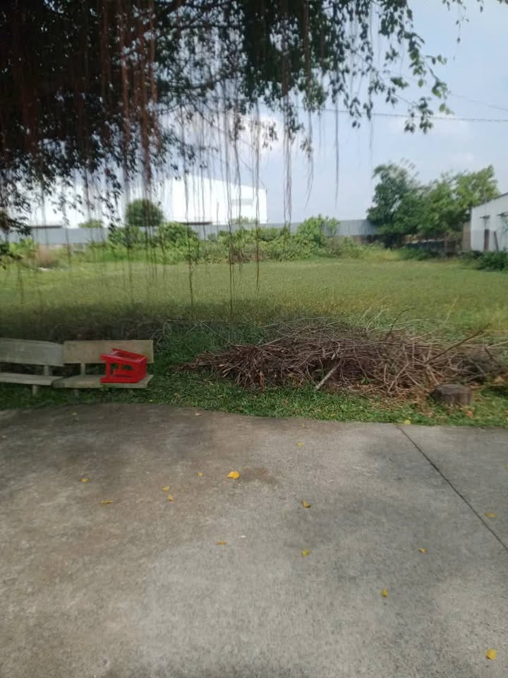 Đất nền Hòa Khánh Tây 1482m² giá 1.8 tỷ - Mặt tiền đường TL825 đông đúc!