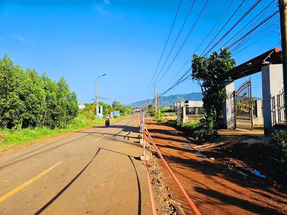 Đất vườn có nhà cấp 4 tại Hòa Hiệp, Xuyên Mộc 6000m² - Giá thỏa thuận nhanh chóng!