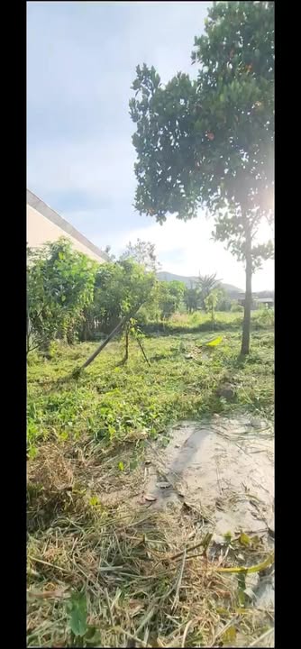 Đất nền Phước Hải 502m² giá 2.2 tỷ - Tiềm năng nghỉ dưỡng tuyệt vời!