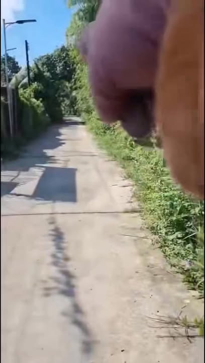 Đất nền thổ cư phường 2, TX Cai Lậy 57m² - Sổ hồng riêng, giá chỉ 750 triệu!