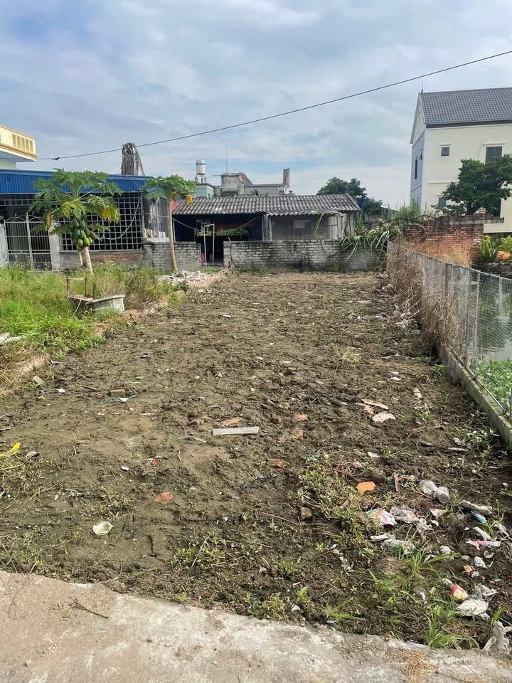 Đất nền Tân Viên An Lão 96m² giá 700 triệu - Cơ hội đầu tư hấp dẫn!