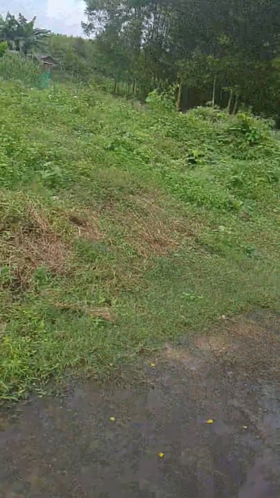 Đất nền Quế Mỹ - Quế Sơn 132m² giá 250 triệu - Cơ hội đầu tư hiếm có!