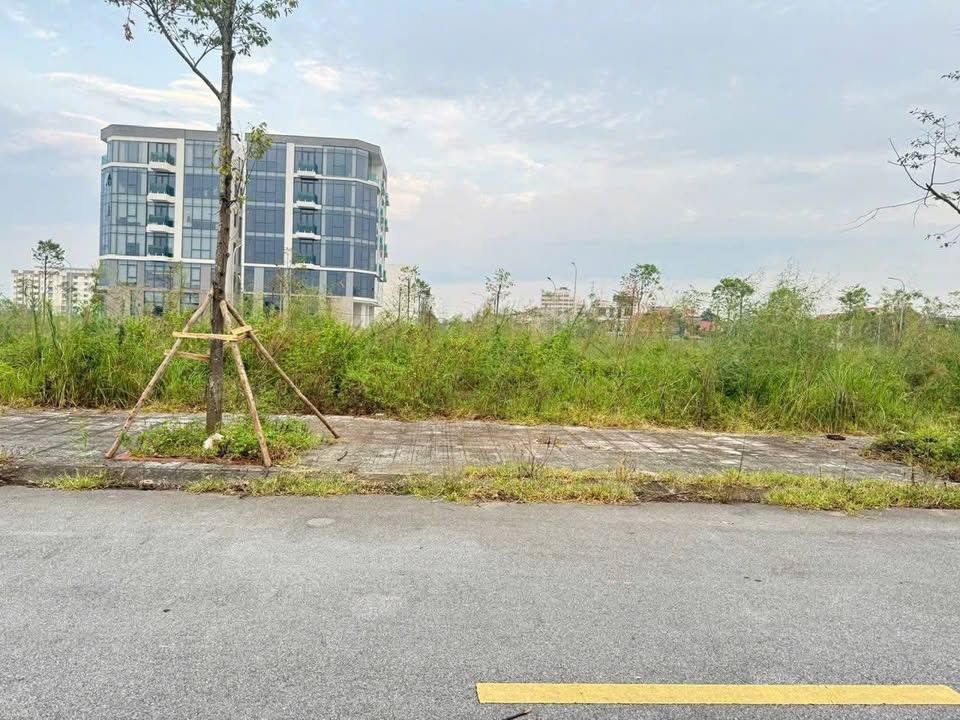 Đất nền 3 mặt tiền Him Lam Thụ Ninh 81m² giá 7 tỷ - Đầu tư sinh lời lý tưởng!