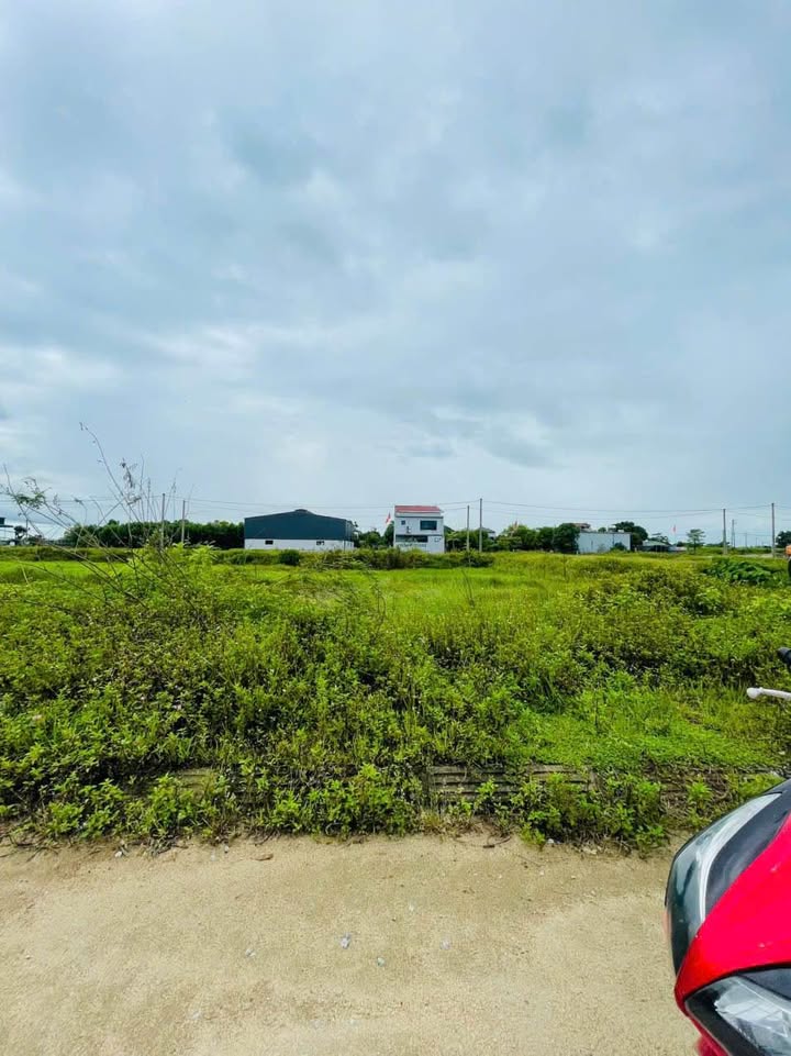 Đất nền Tân Lâm Hương 220m² giá chỉ 2,xxx - Vị trí đẹp, đầu tư sinh lời!