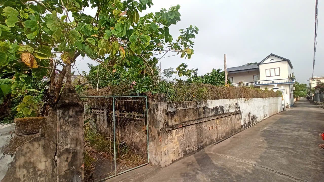 Đất nền Xóm 4, Nghĩa Tân, Nghĩa Hưng 126m² giá 8xx - Đầu tư sinh lời ngay!