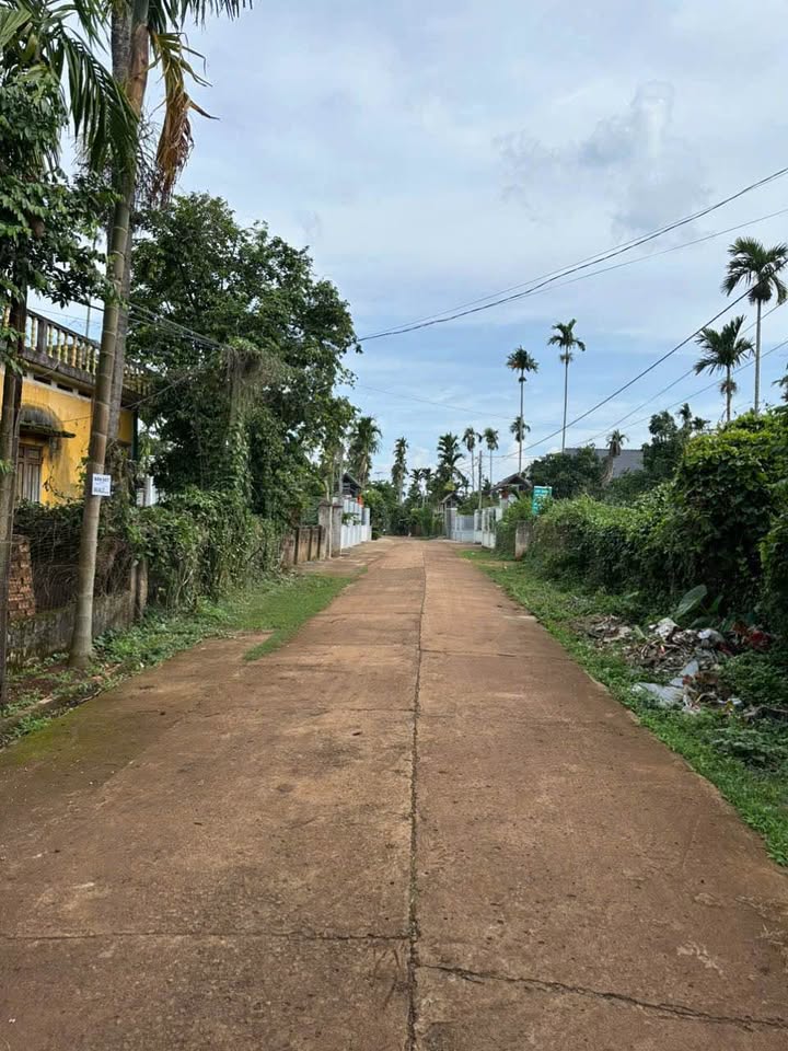 Đất nền Ea Ktur, Cư Kuin 450m² giá 450 triệu - Sổ hồng thổ cư chính chủ!