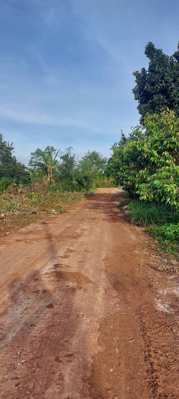 Đất nông nghiệp hẻm 327 Y Moan, Buôn Ma Thuột 95m² giá 285 triệu - Cơ hội đầu tư hấp dẫn!