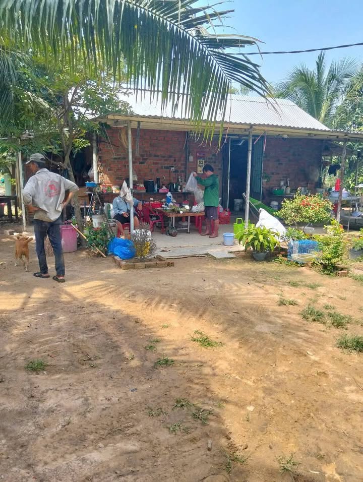 Farm 1.4ha Ninh Hưng, Ninh Hòa giá 2 tỷ - Đầu tư lý tưởng cho nhà vườn!