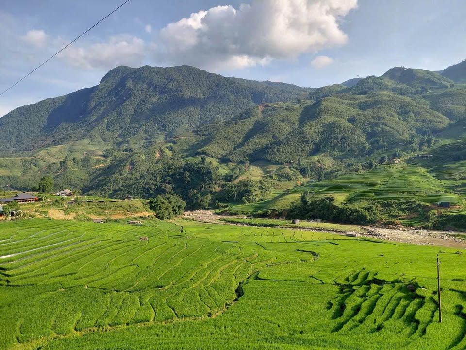 Đất nền Tả Van Sa Pa 1300m² giá 11 tỷ - View núi thơ mộng, đầu tư sinh lời!