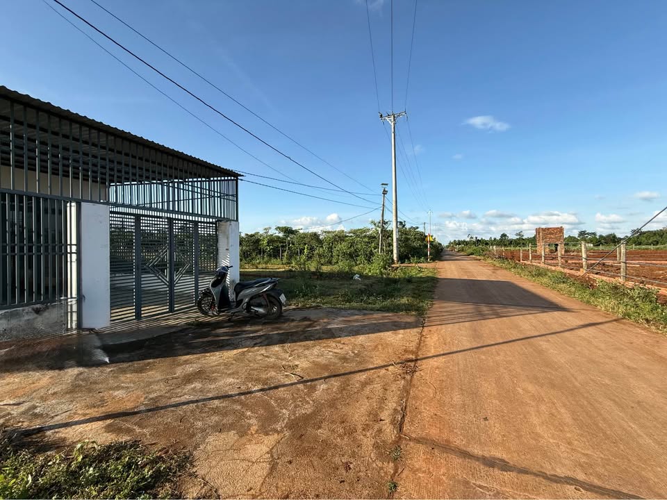 Đất thổ cư Hòa Khánh, Buôn Ma Thuột 125m² chỉ 550 triệu - Đầu tư sinh lời tối ưu!