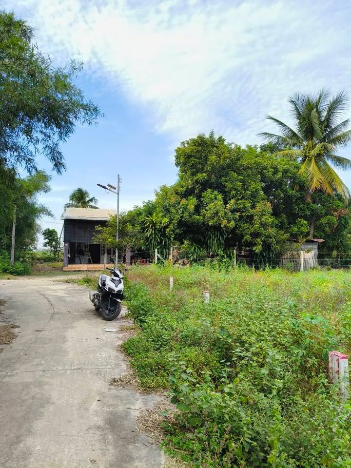 Đất Suối Đá Dương Minh Châu 160m² giá chỉ 260 triệu - Cơ hội đầu tư tuyệt vời!