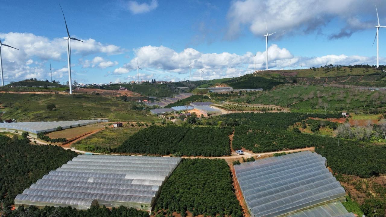 Đất nền Xuân Trường Đà Lạt 1000m² giá 3.2 tỷ - View đẹp, trung tâm thành phố!