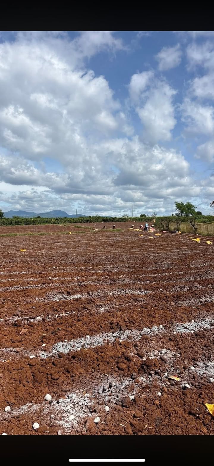 Đất nền Tân Hội Đức Trọng 9478m² giá 4.6 tỷ - Cơ hội đầu tư hấp dẫn!