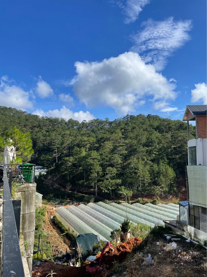 Đất biệt thự Hoàng Hoa Thám Đà Lạt 251m² giá 7.9 tỷ - Tiềm năng đầu tư lớn!